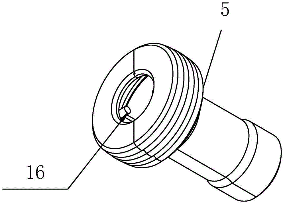 an ultrasonic needle