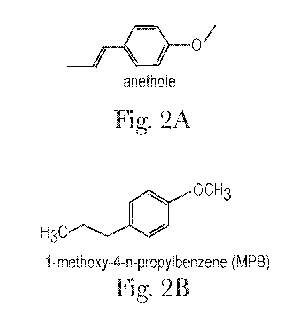 Anise Flavored Medication