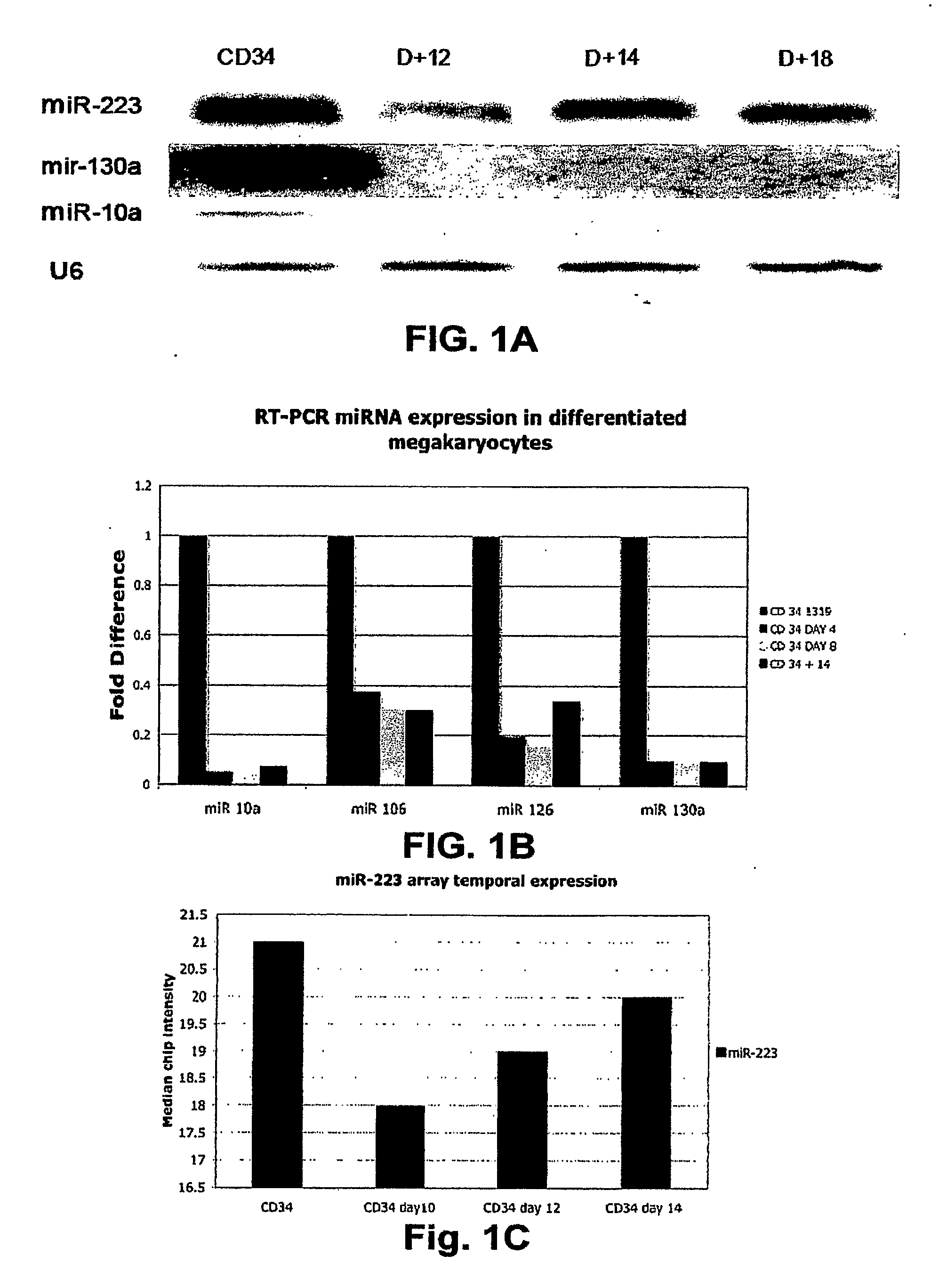 MicroRNA Fingerprints During Human Megakaryocytopoiesis