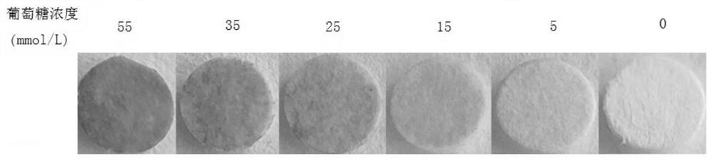 CeO2 nanorod-based urine glucose test paper and preparation method thereof