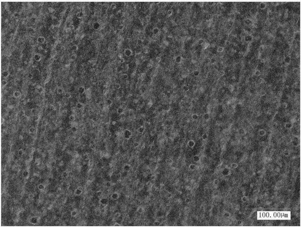 Porous silicon rubber thin film containing graphene as well as preparation method and application thereof