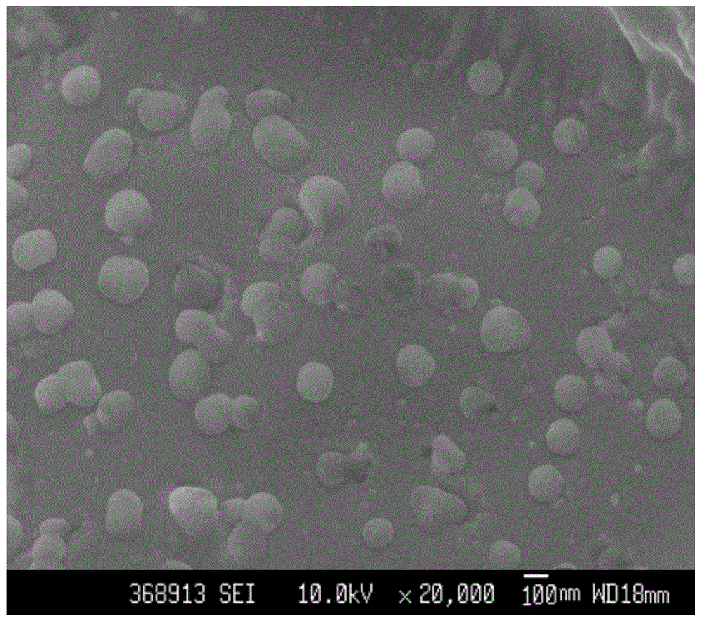 A kind of soluble thrombin nanoparticle and its preparation method and application