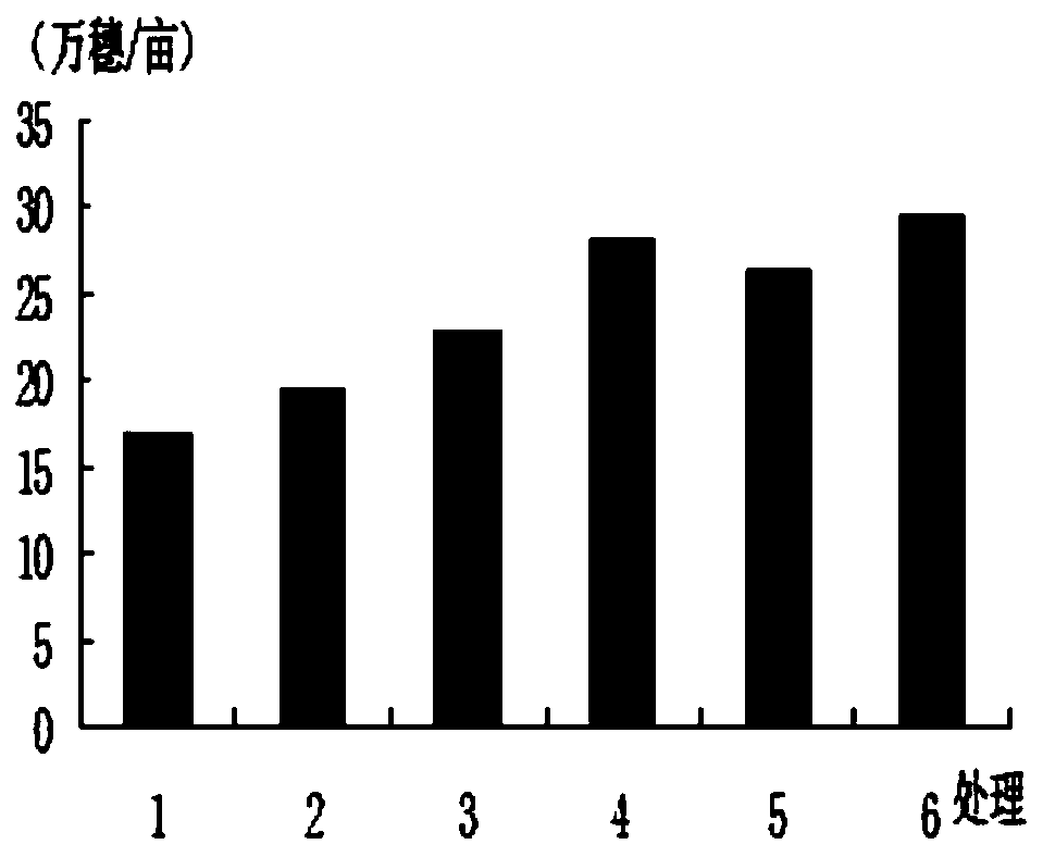 Drip irrigation under plastic film method for rice cropping