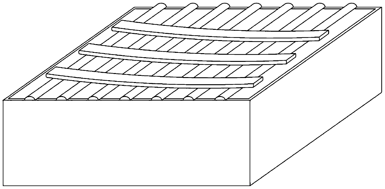 Device for making spotted pig preserved meat