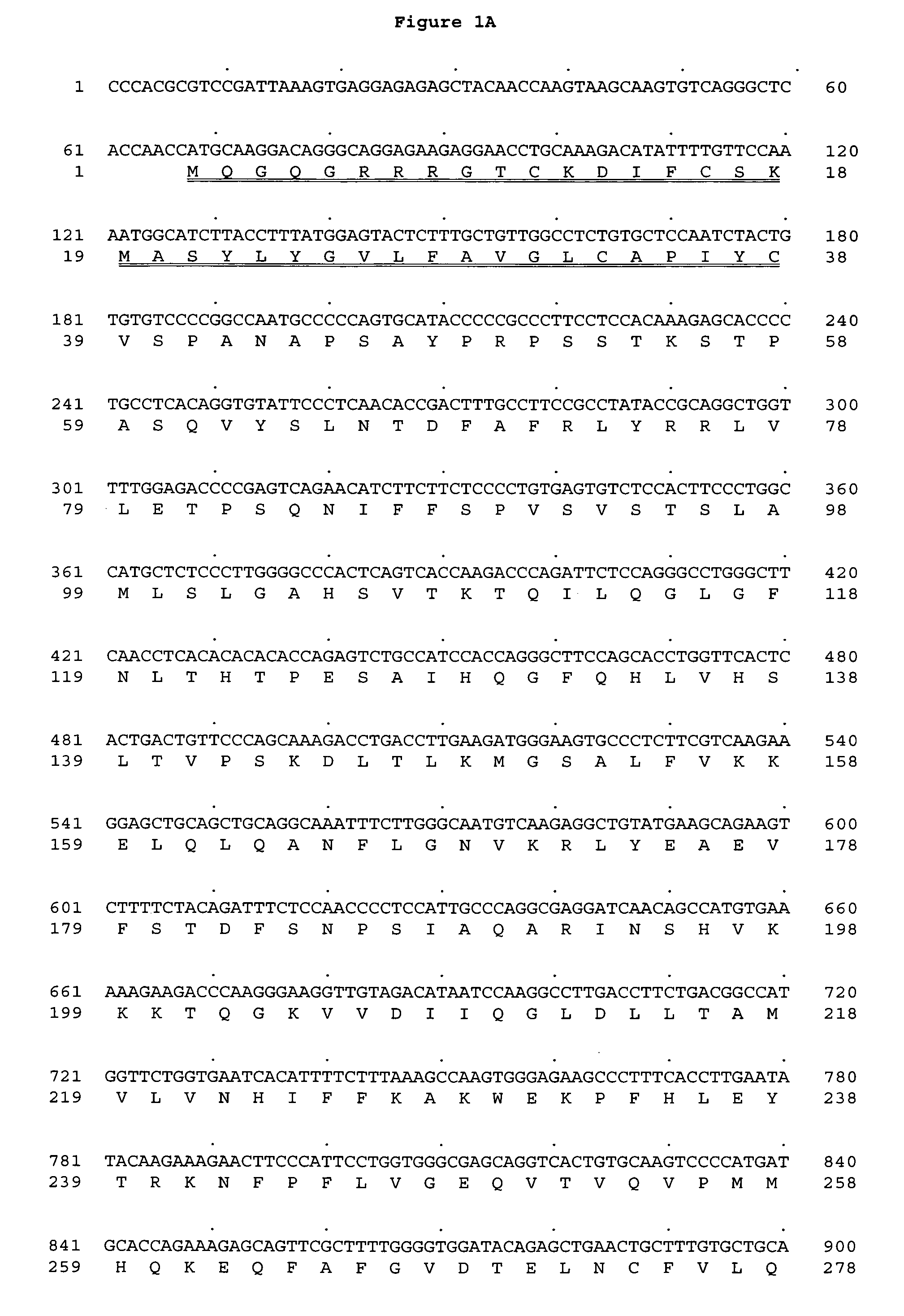 Polynucleotide encoding a novel human serpin secreted from lymphoid cells, LSI-01