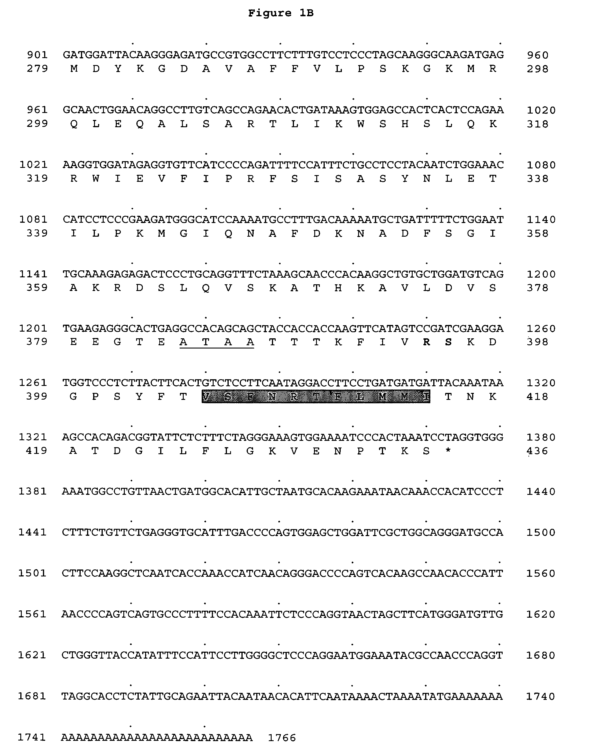 Polynucleotide encoding a novel human serpin secreted from lymphoid cells, LSI-01