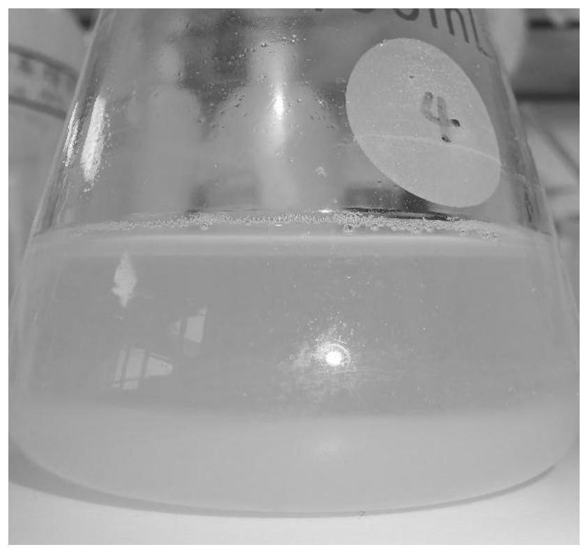 Preparation method of Chinese honeylocust fruit extracting solution