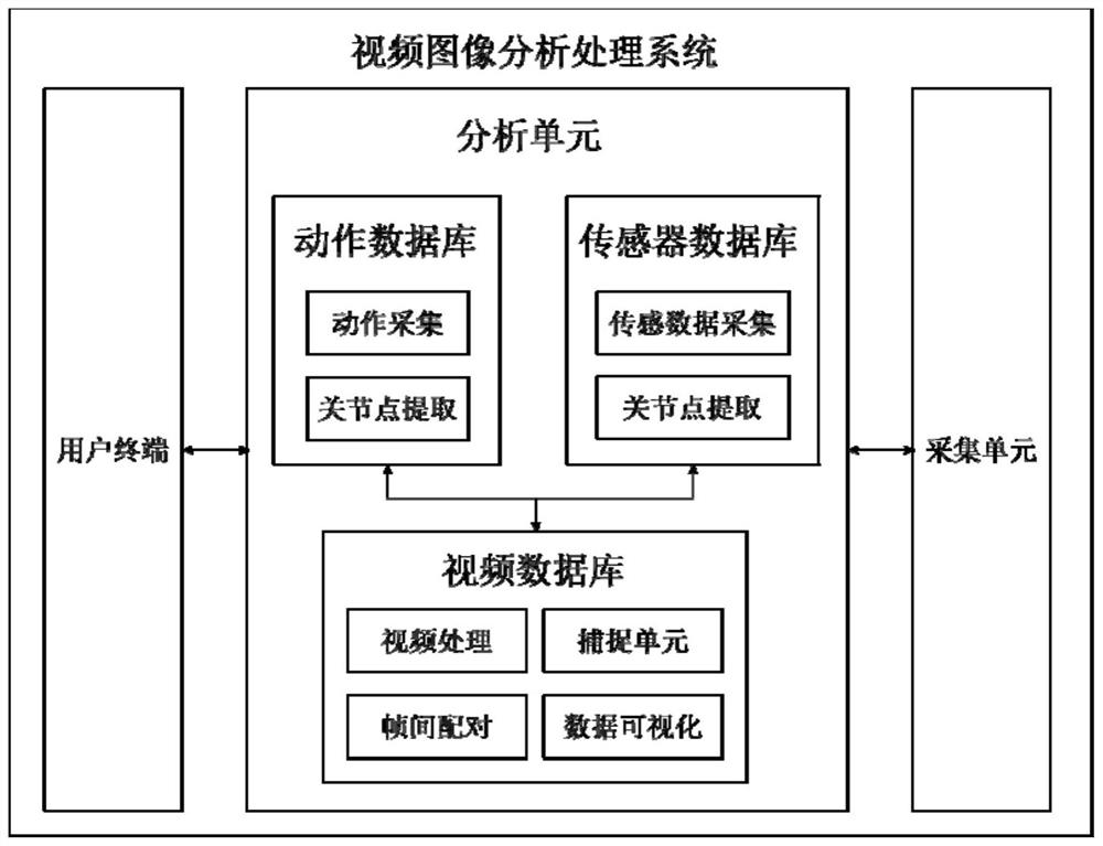 Video image analysis processing system and device