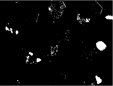 Composite processing method for realizing metallization of surfaces of diamonds