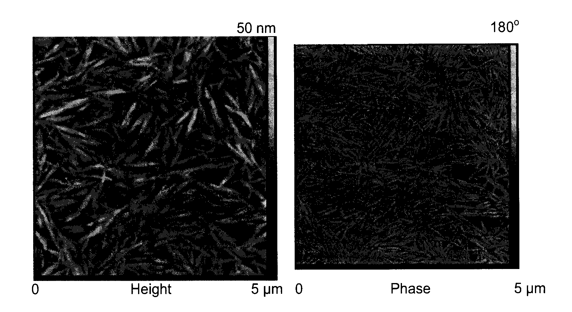 Cellulose nanocrystals from renewable biomass