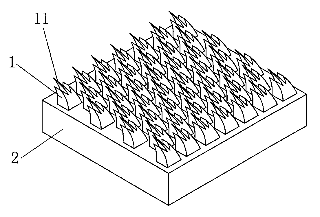 Bionic surface structure for strengthening evaporation heat exchanging of liquid film