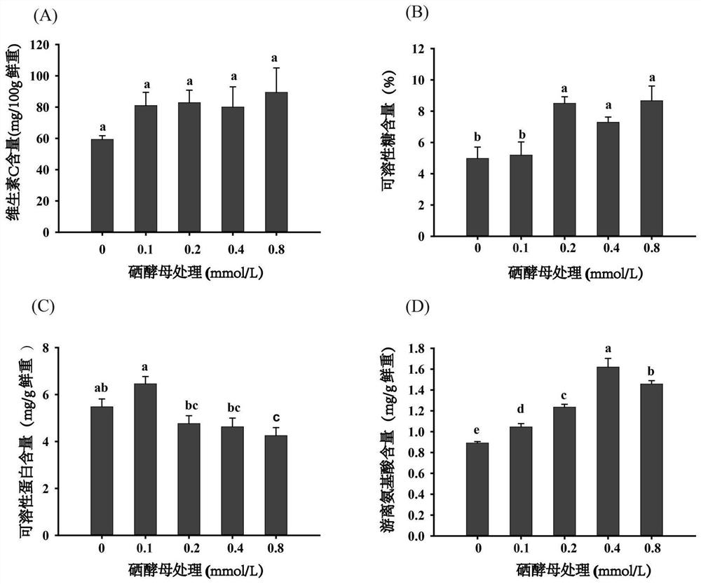 Selenium-enriched cultivation method for cabbages