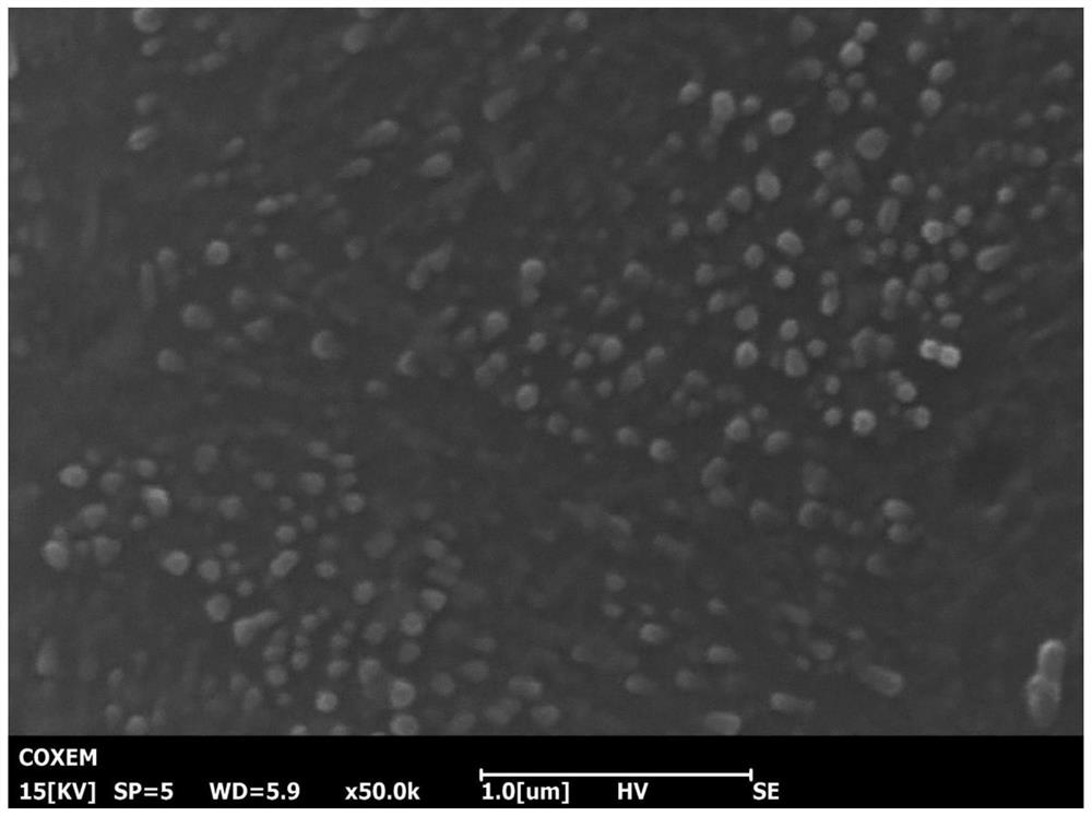 Conotoxin-entrapped chitosan nanoparticle emulsion and preparation method thereof