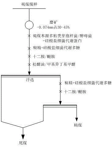 Reverse flotation de-ashing method for lignite