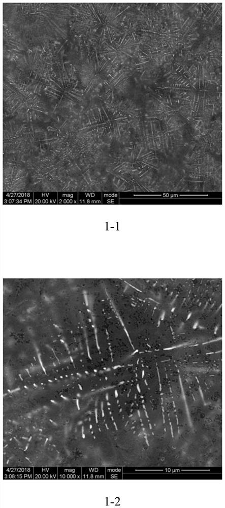 A kind of copper nano wire and preparation method thereof