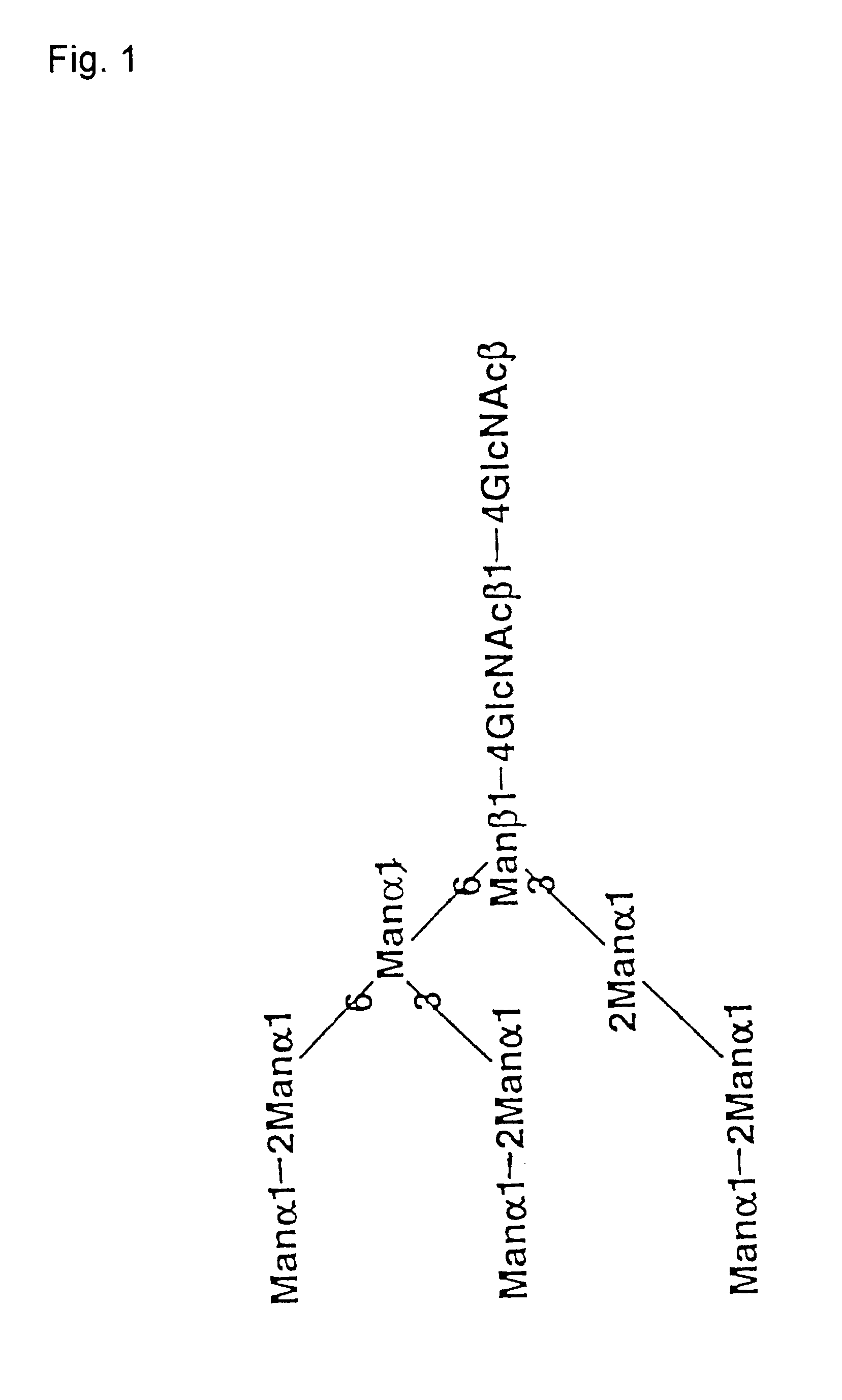 Gene transfer methods