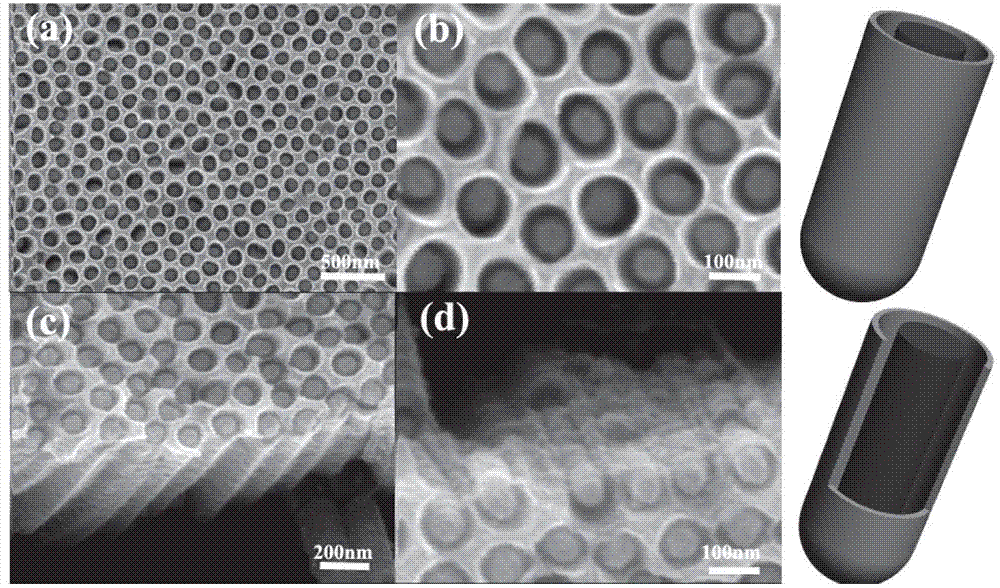 Preparation method of titanium dioxide core/shell nanometer cable array