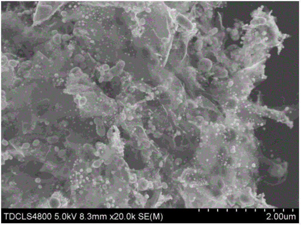 Nitrogen-doped three-dimensional graphene loaded carbon coated copper substrate material and preparation method