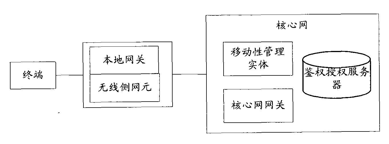 Establishing method and device of local Internet protocol (IP) access connection