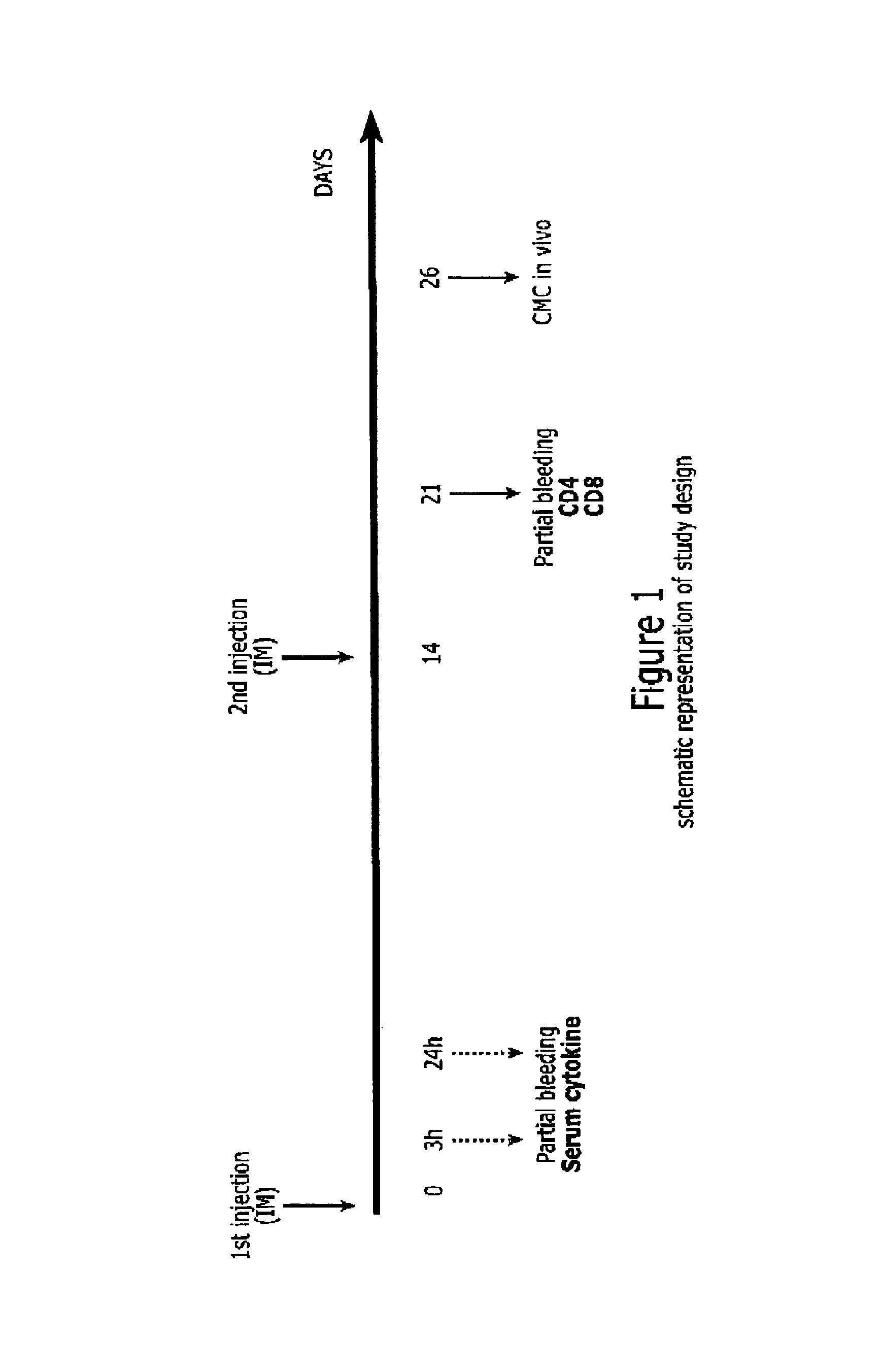 Lipidated imidazoquinoline derivatives