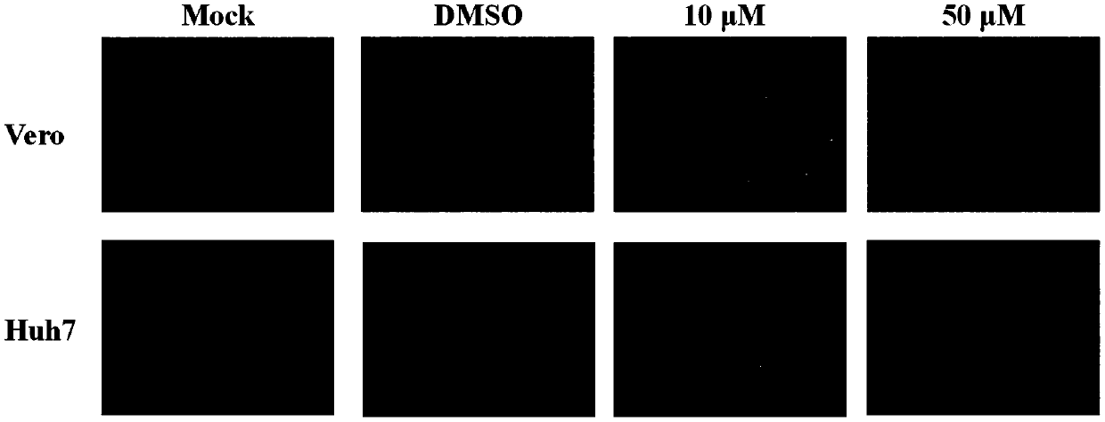 Application of teriflunomide to preparation of anti-west Nile virus medicine