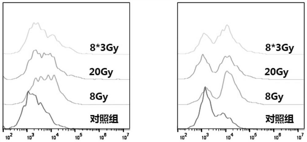 Preparation method and application of anti-tumor vaccine antigen raw material