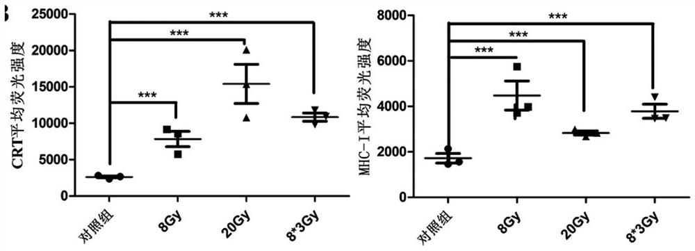 Preparation method and application of anti-tumor vaccine antigen raw material