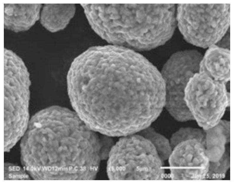 Preparation method of one-pot method double-coated lithium ion battery NCM ternary positive electrode material