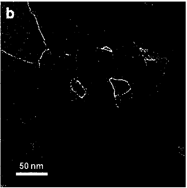 Platinum-loaded nitrogen phosphorus co-doped carbon material hydrogen evolution catalyst, preparation method and application thereof