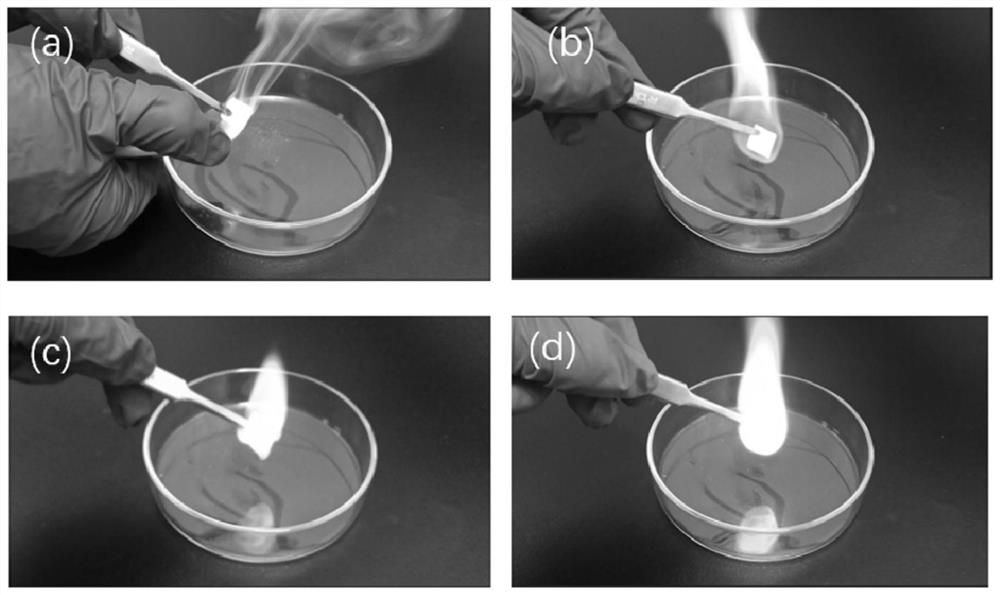 Flame-retardant electrolyte, preparation method and lithium metal battery