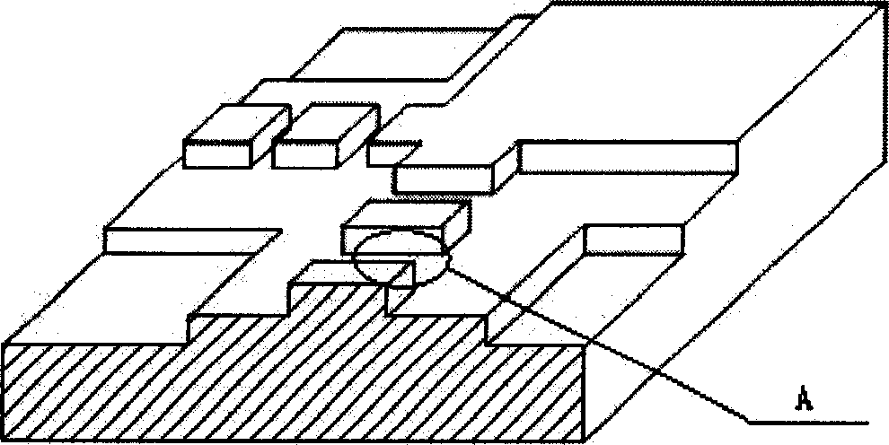 Silicon microchannel array erythrocyte rheological analyzing method and apparatus