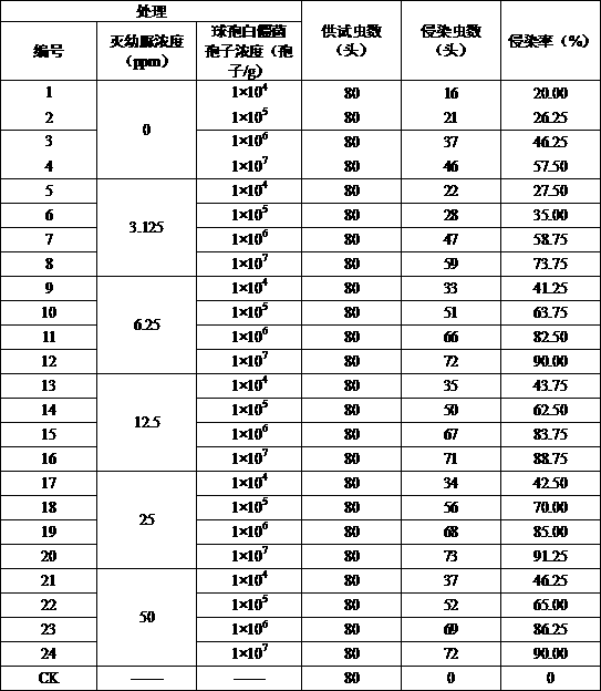 Insecticidal composition containing beauveria bassiana and diflubenzuron, and preparation method thereof