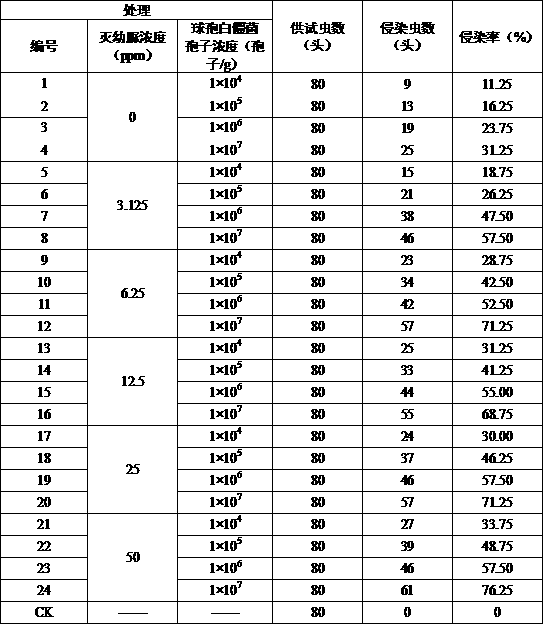 Insecticidal composition containing beauveria bassiana and diflubenzuron, and preparation method thereof