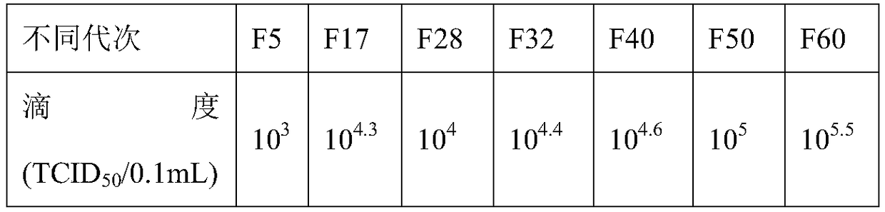 Attenuated strain for Muscovy duck aMPV (avian metapneumovirus)-C as well as preparation and application of attenuated strain