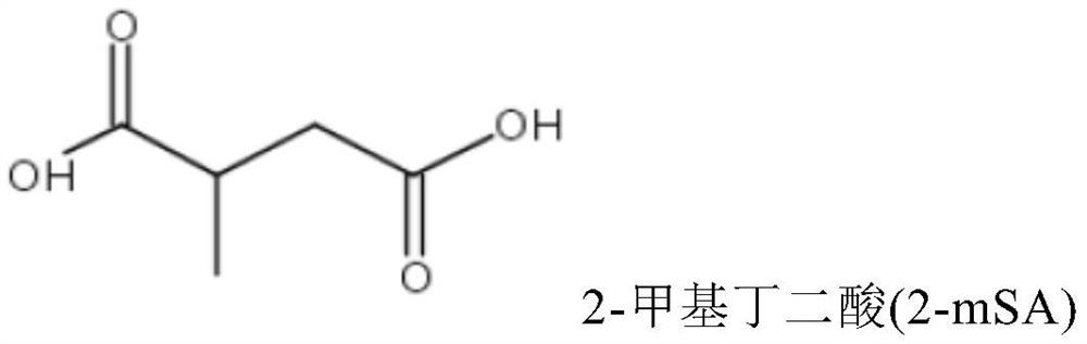 Preparation of high biomass content polyester polyols with hydrogenated itaconic acid