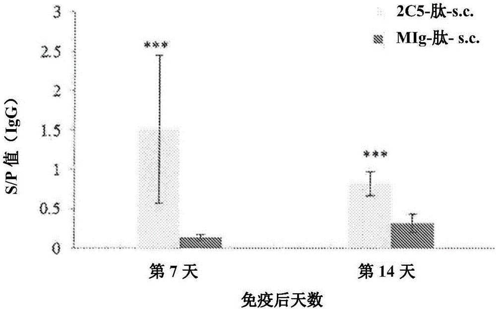 Antibody guided vaccines and methods of use for generation of rapid mature immune responses