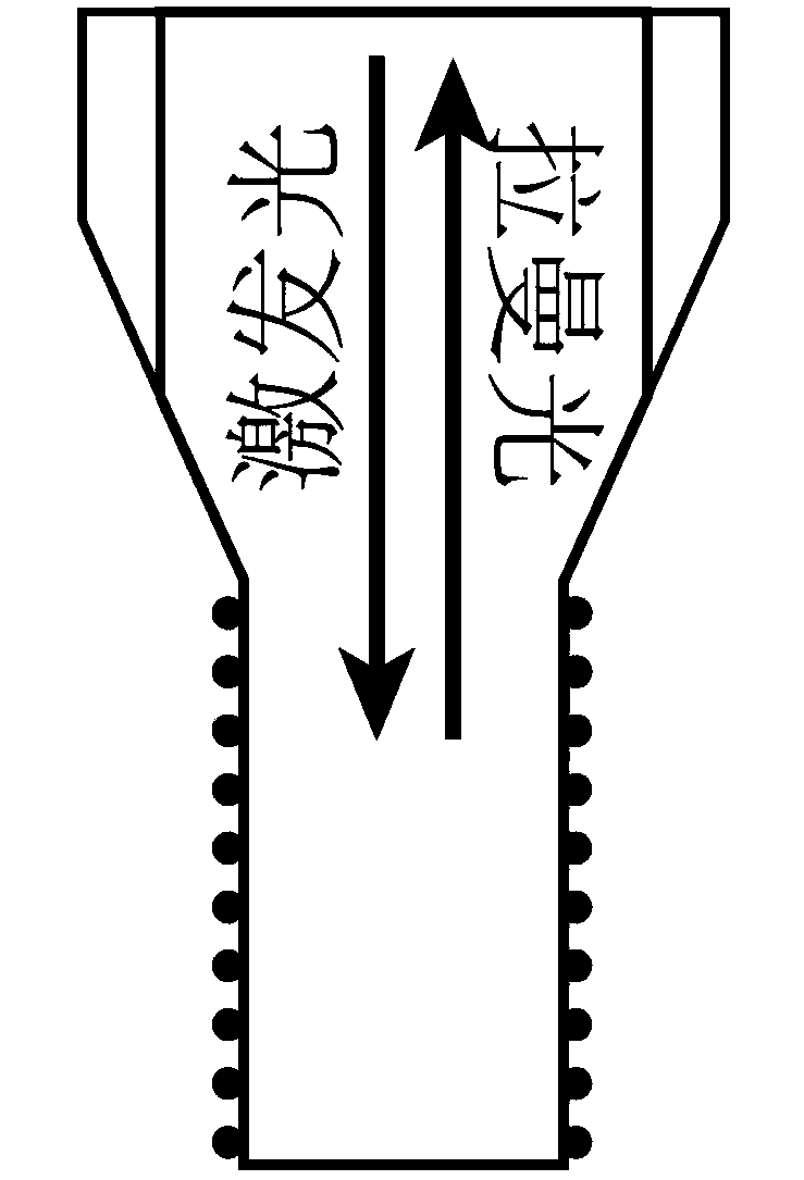 Microfluidic biological detection system and method