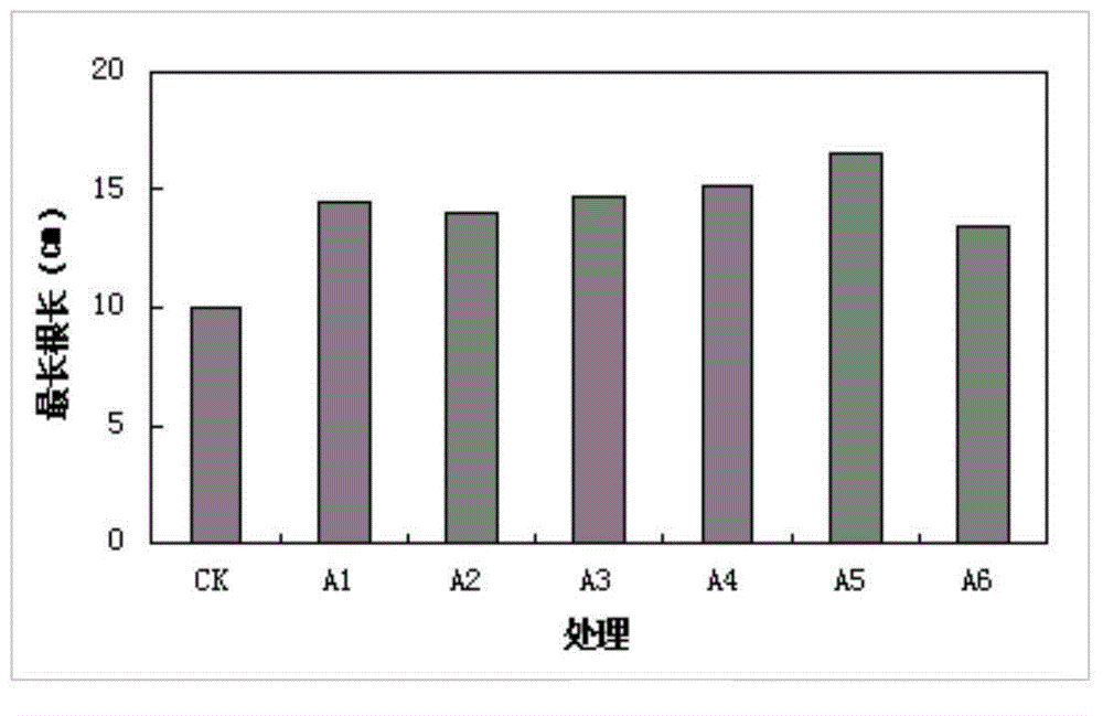 Seaweed water-soluble fertilizer and preparation method thereof