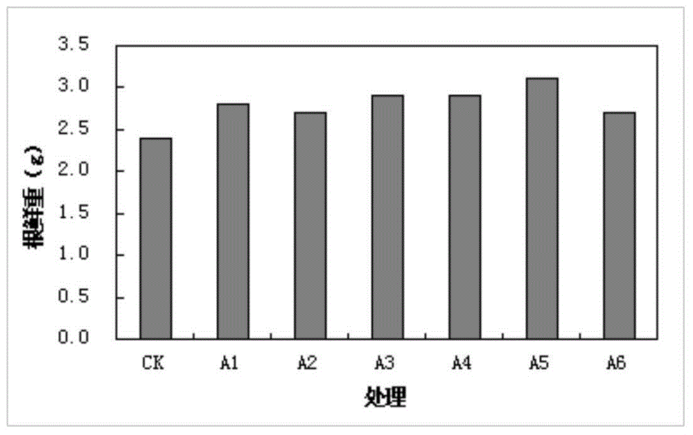 Seaweed water-soluble fertilizer and preparation method thereof