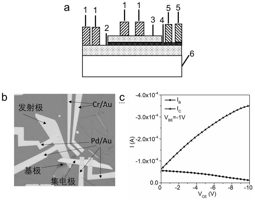 Two-dimensional Van der Waals bipolar transistor based on tellurium nanosheets and construction method thereof