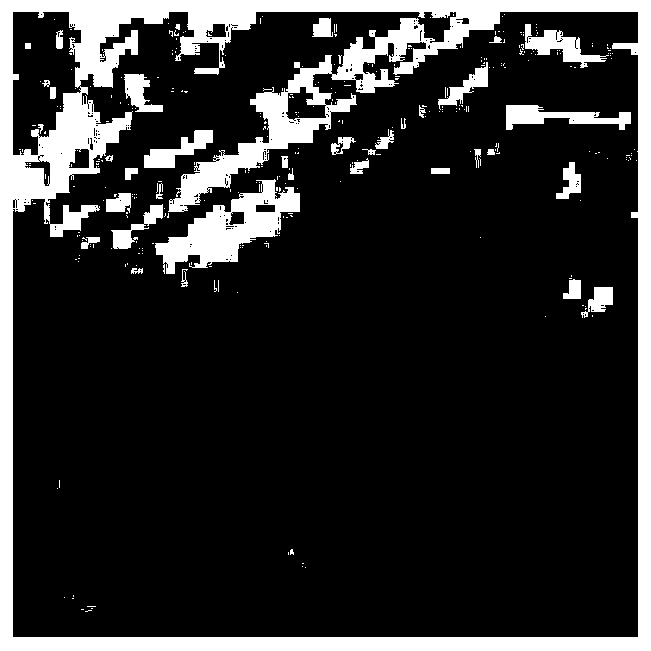 Hyperspectral anomaly detection method based on collaborative representation and anomaly elimination