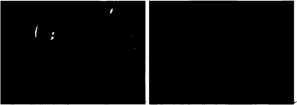 Inorganic dispersing agent for improving rheological property of geopolymer slurry as well as preparation method and application of inorganic dispersing agent