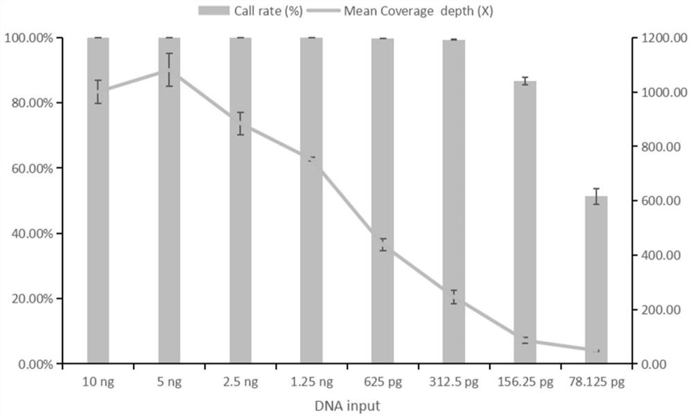 Primer composition, kit and method for detecting Y-SNP haplogroup based on next-generation sequencing technology and application of primer composition, kit and method