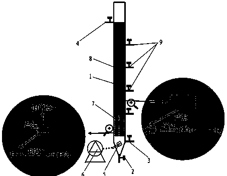 Nitrogen and phosphorus removal method and device for urban sewage