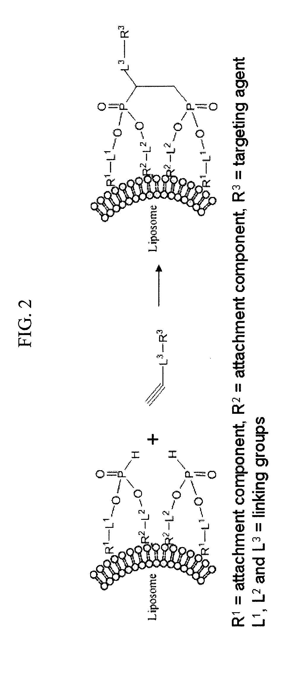 Remote Assembly of Targeted Nanoparticles using H-Phosphate ENE/-YNE Hydrophosphonylation Reactions