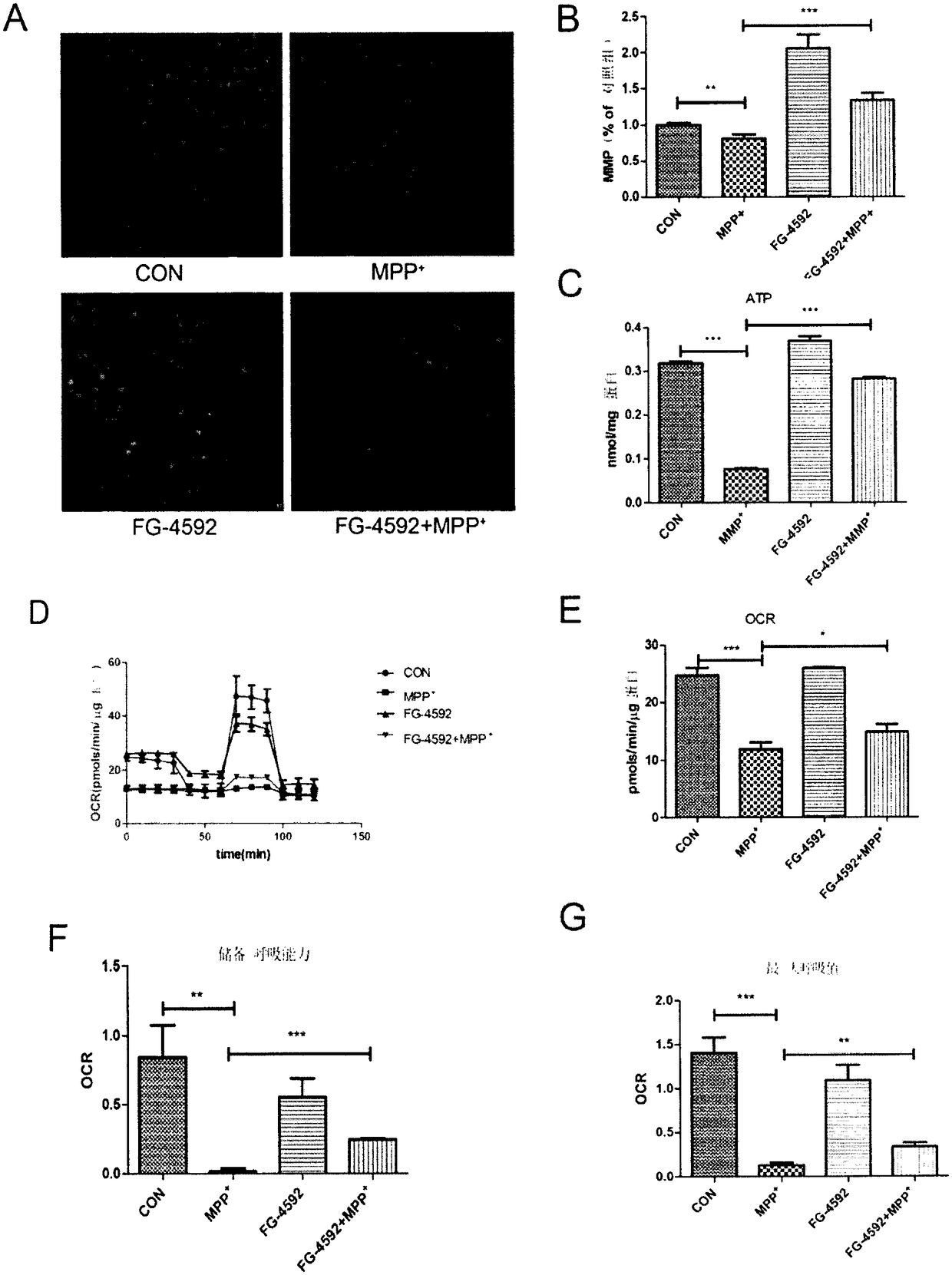 Application of HIF-1alpha micromolecular activator in preparation of medicine for treating neurodegenerative diseases