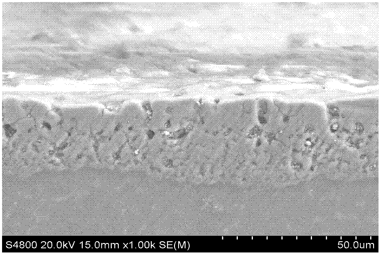 Method for preparing bio-ceramic film on surface of magnesium/magnesium alloy through micro-arc oxidation