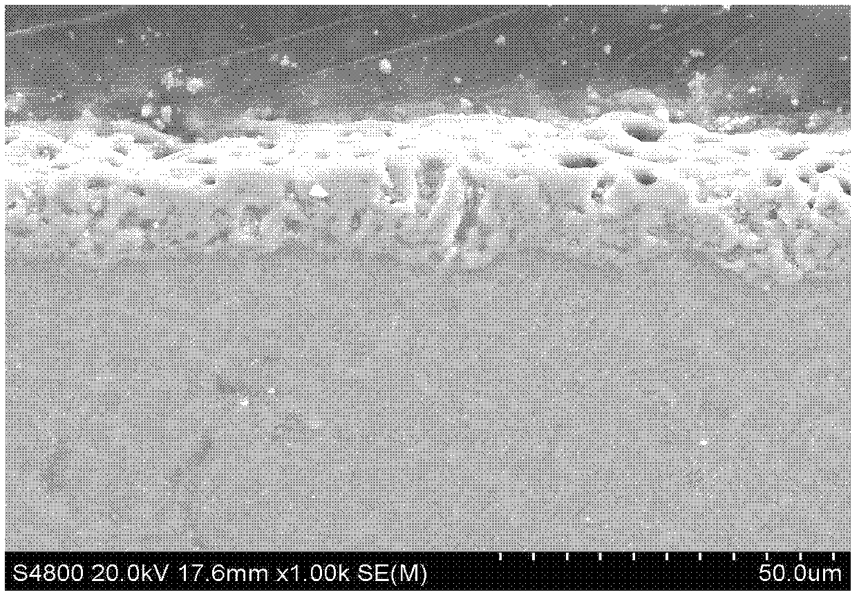 Method for preparing bio-ceramic film on surface of magnesium/magnesium alloy through micro-arc oxidation