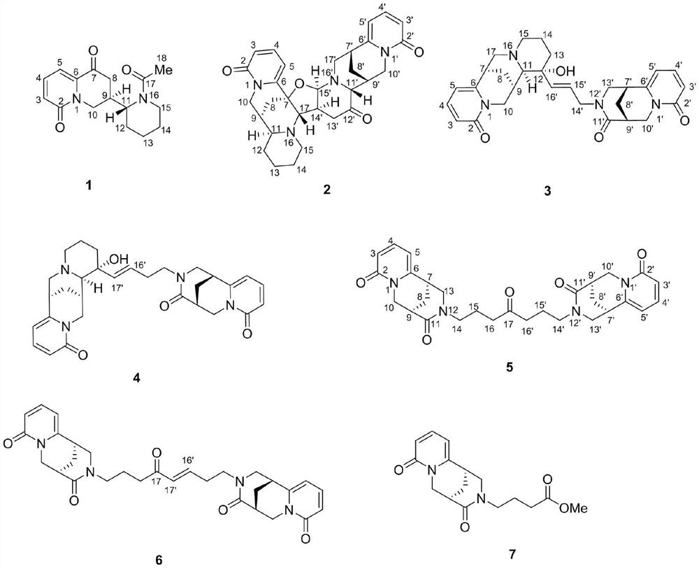 Quinolizidine alkaloid as well as preparation method and application thereof