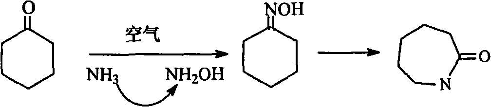 Catalyst for synthesizing caprolactam in one step by ammoxidation of cyclohexanone and preparation and application method thereof